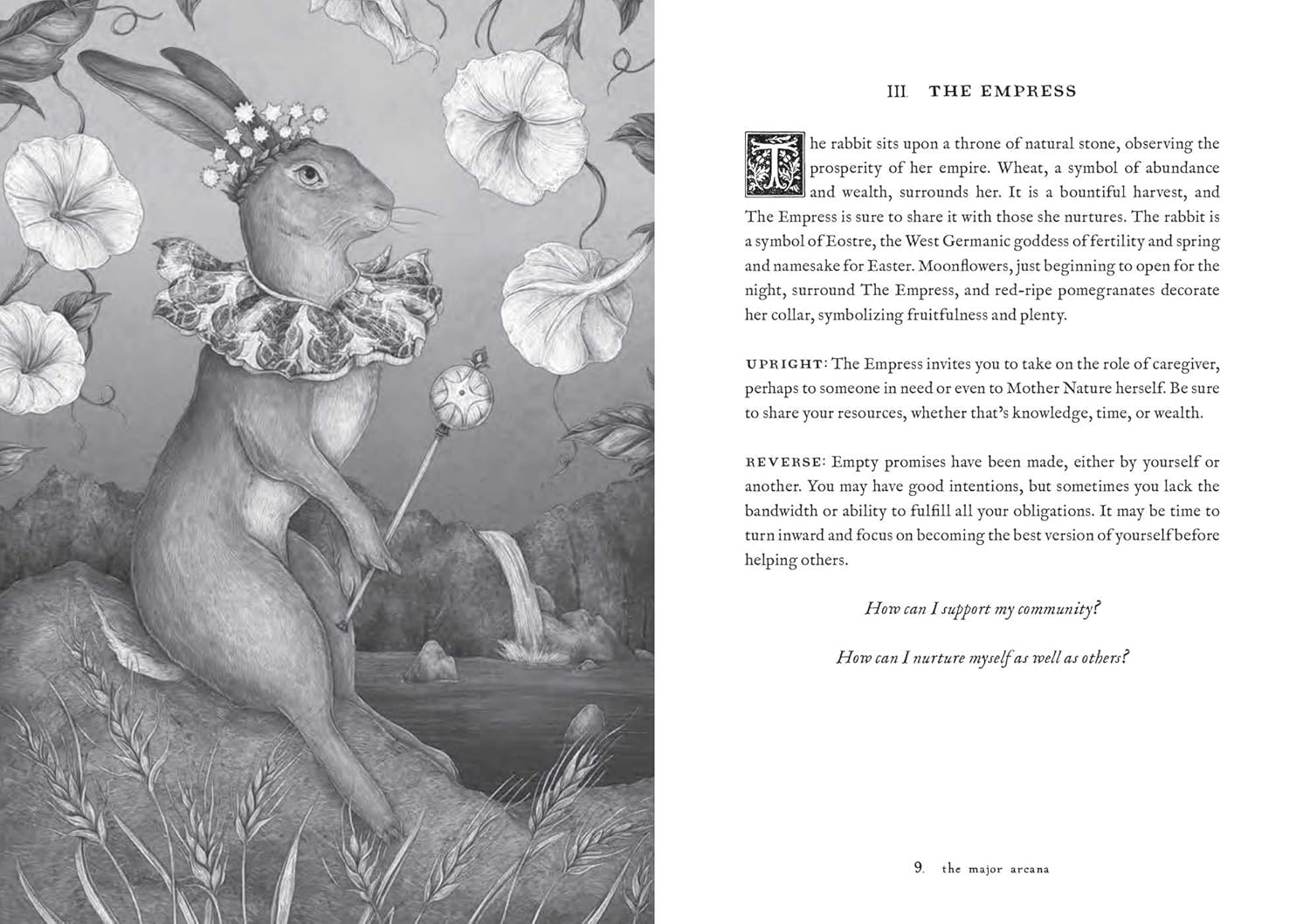 Tarot of the Woodland Wardens - DIGS