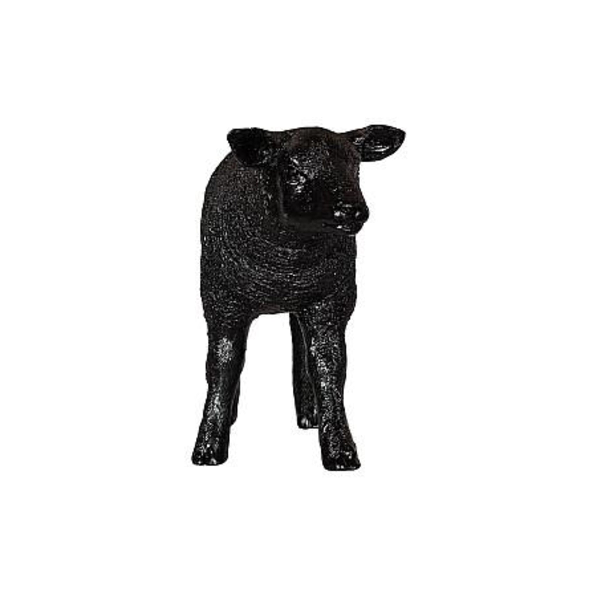 Texelaar Sheep Lamb - DIGS