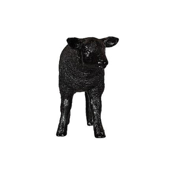 Texelaar Sheep Lamb - DIGS