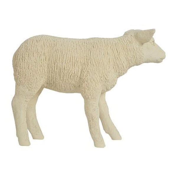 Texelaar Sheep Lamb - DIGS