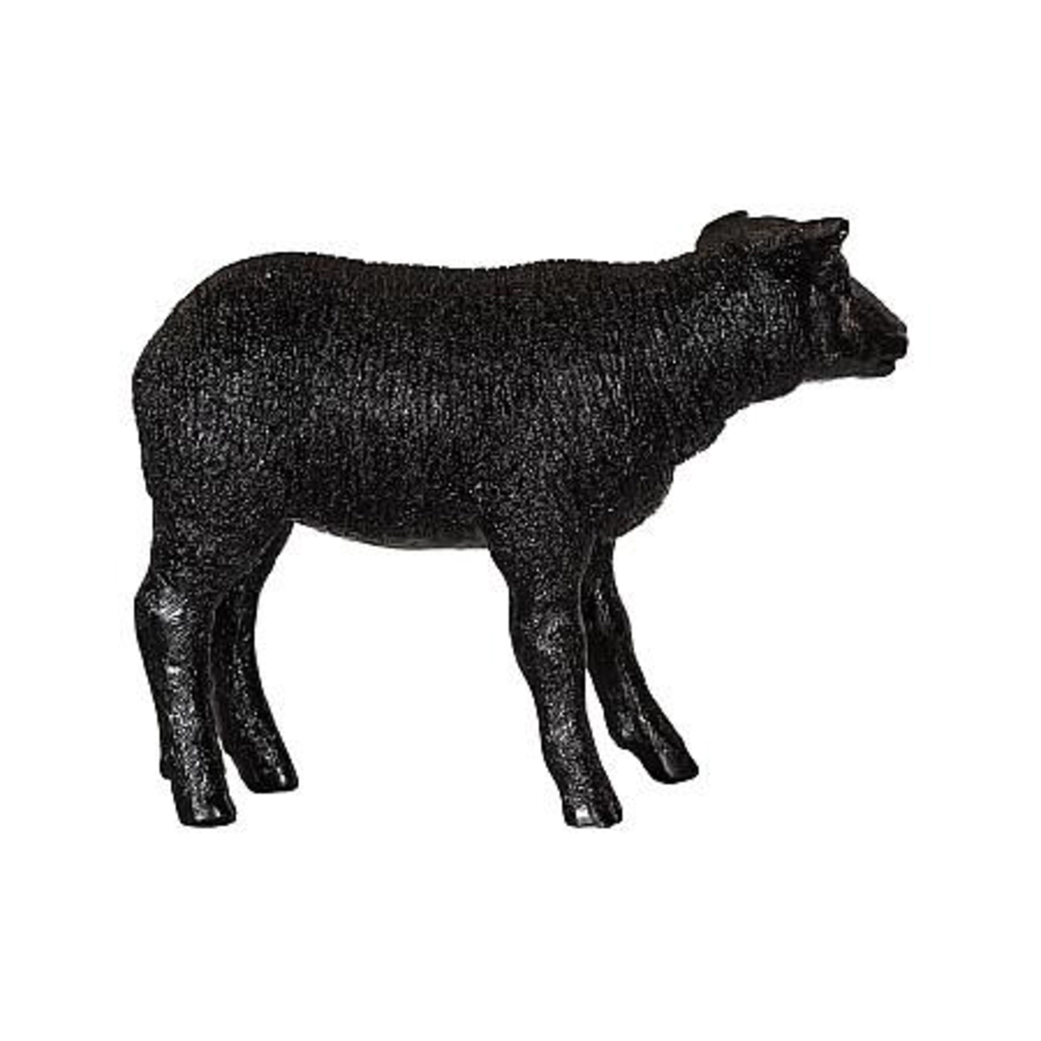 Texelaar Sheep Lamb - DIGS