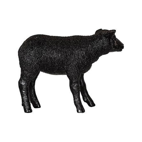 Texelaar Sheep Lamb - DIGS