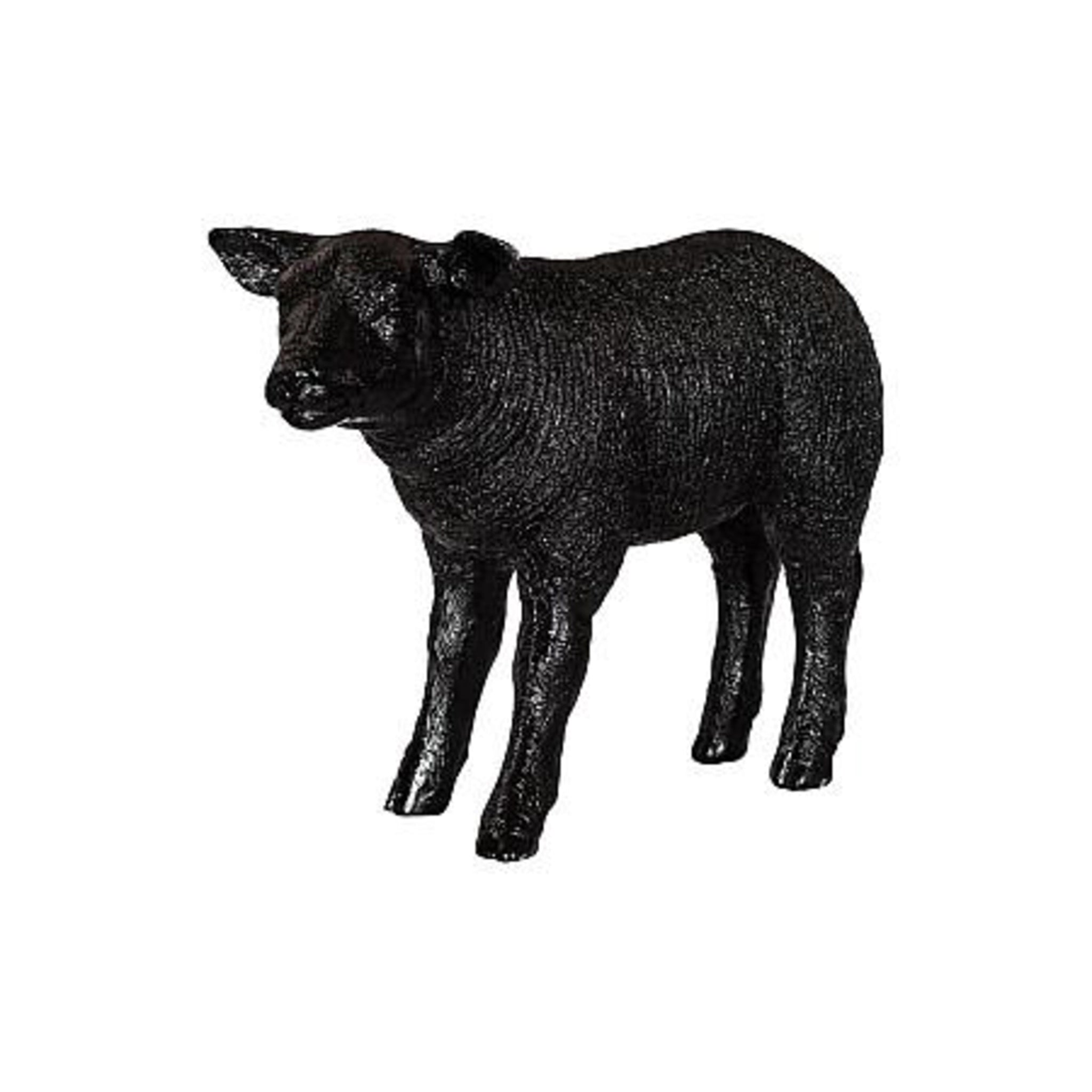 Texelaar Sheep Lamb - DIGS