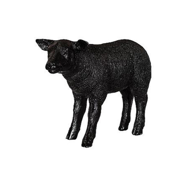 Texelaar Sheep Lamb - DIGS