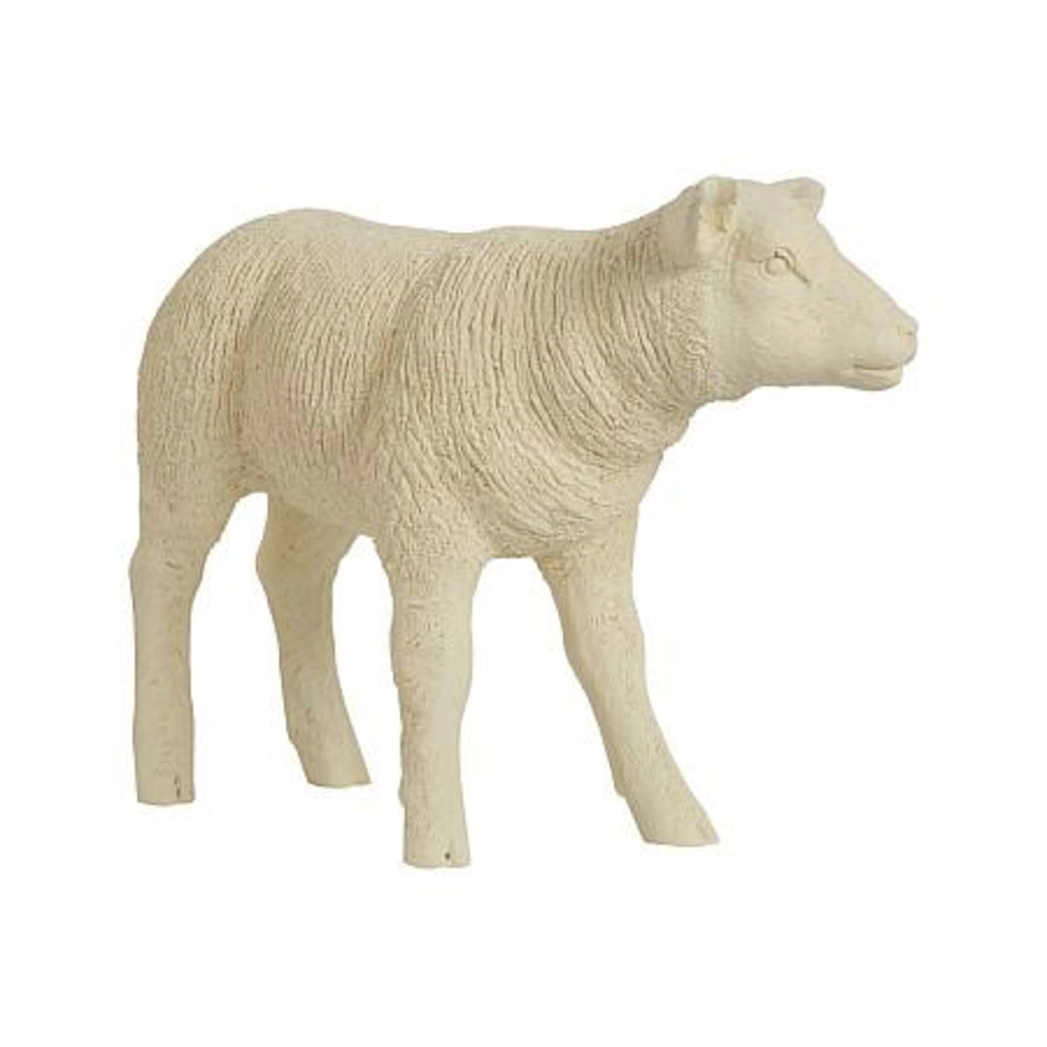 Texelaar Sheep Lamb - DIGS