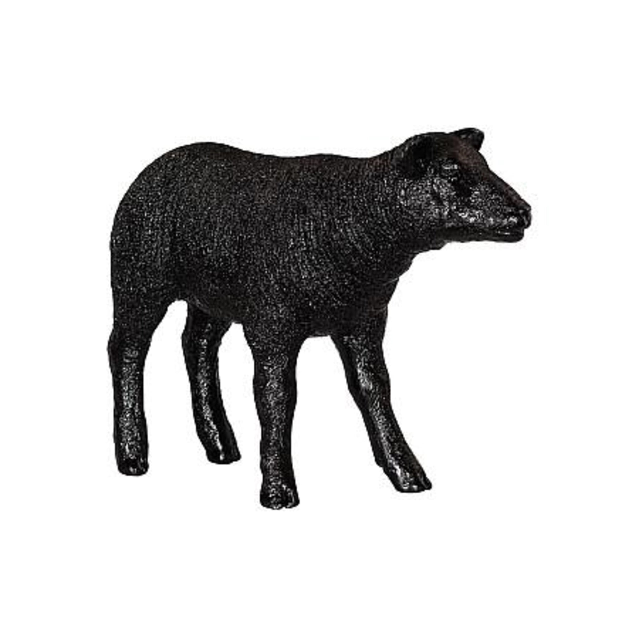 Texelaar Sheep Lamb - DIGS