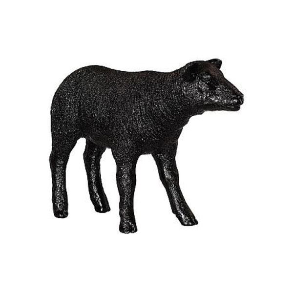 Texelaar Sheep Lamb - DIGS