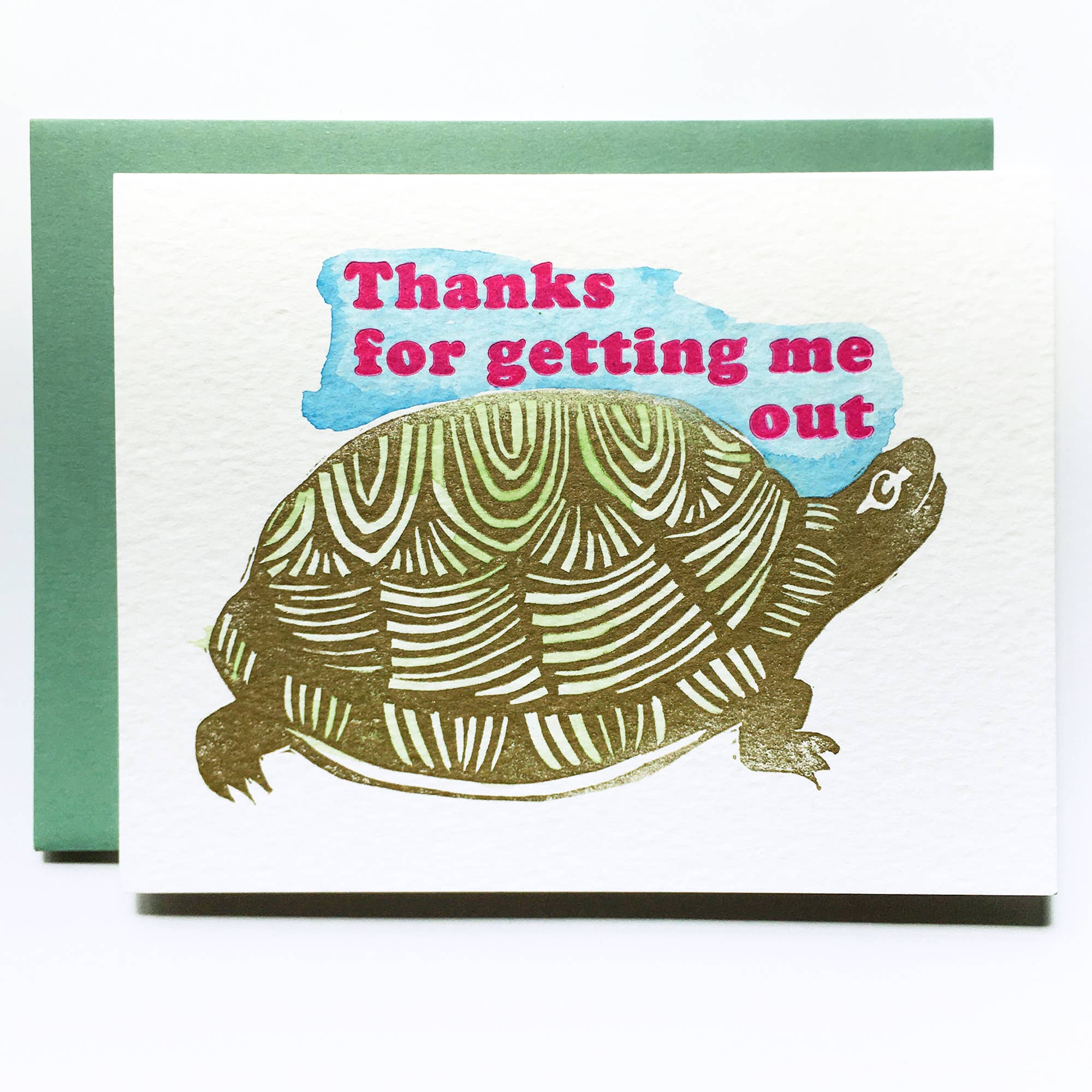Thanks for Getting Me Turtle Card - DIGS