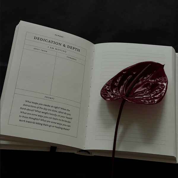The Becoming Journal - DIGS