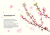 The Book of Tree Poems - DIGS