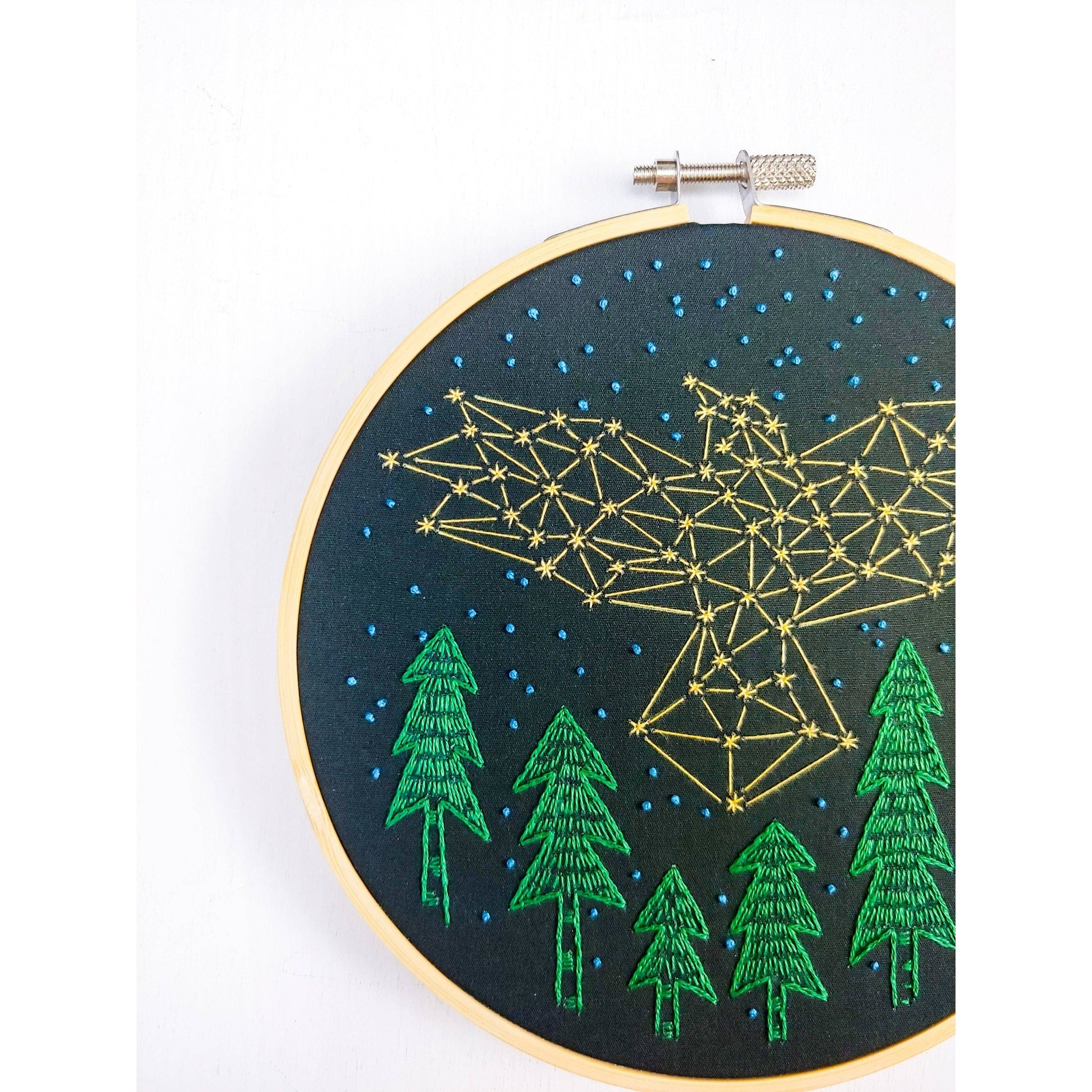 The Crow Embroidery Kit - DIGS