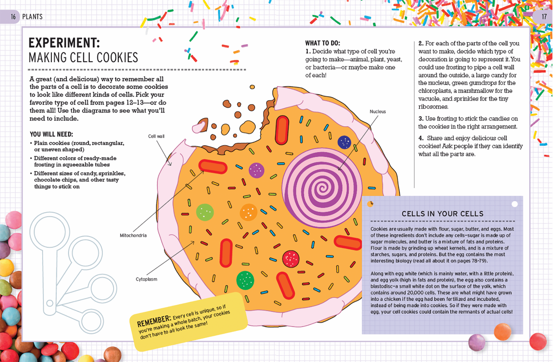 The Curious World of Kitchen Science: The Biology of Bananas - DIGS