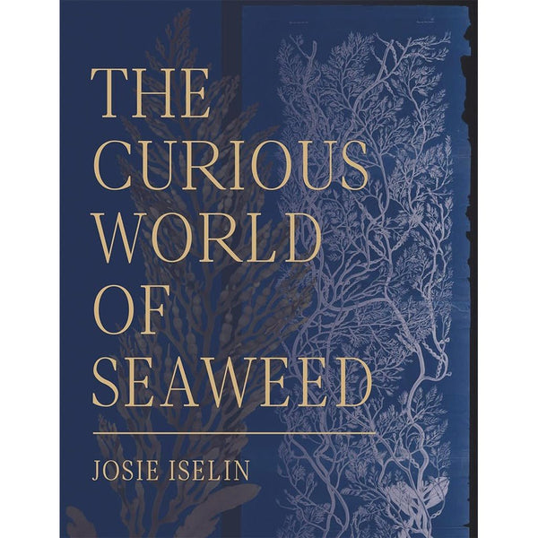 The Curious World of Seaweed - DIGS