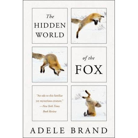 The Hidden World of the Fox - DIGS