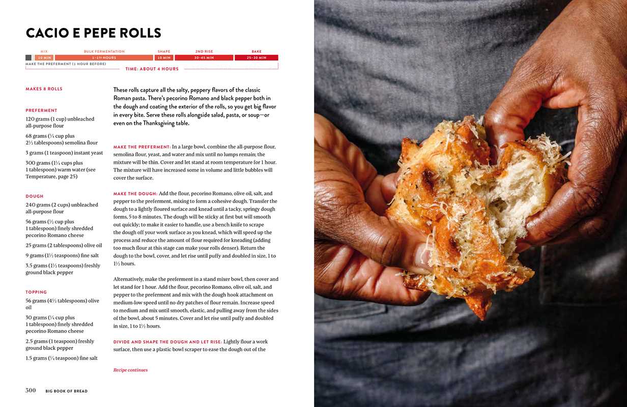 The King Arthur Baking Company Big Book of Bread - DIGS