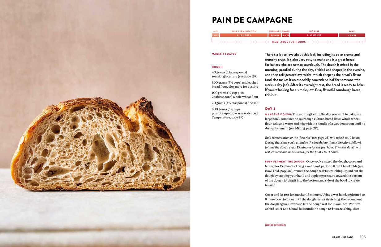 The King Arthur Baking Company Big Book of Bread - DIGS