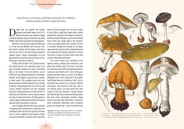 The Magic of Mushrooms - DIGS
