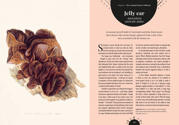The Magic of Mushrooms - DIGS