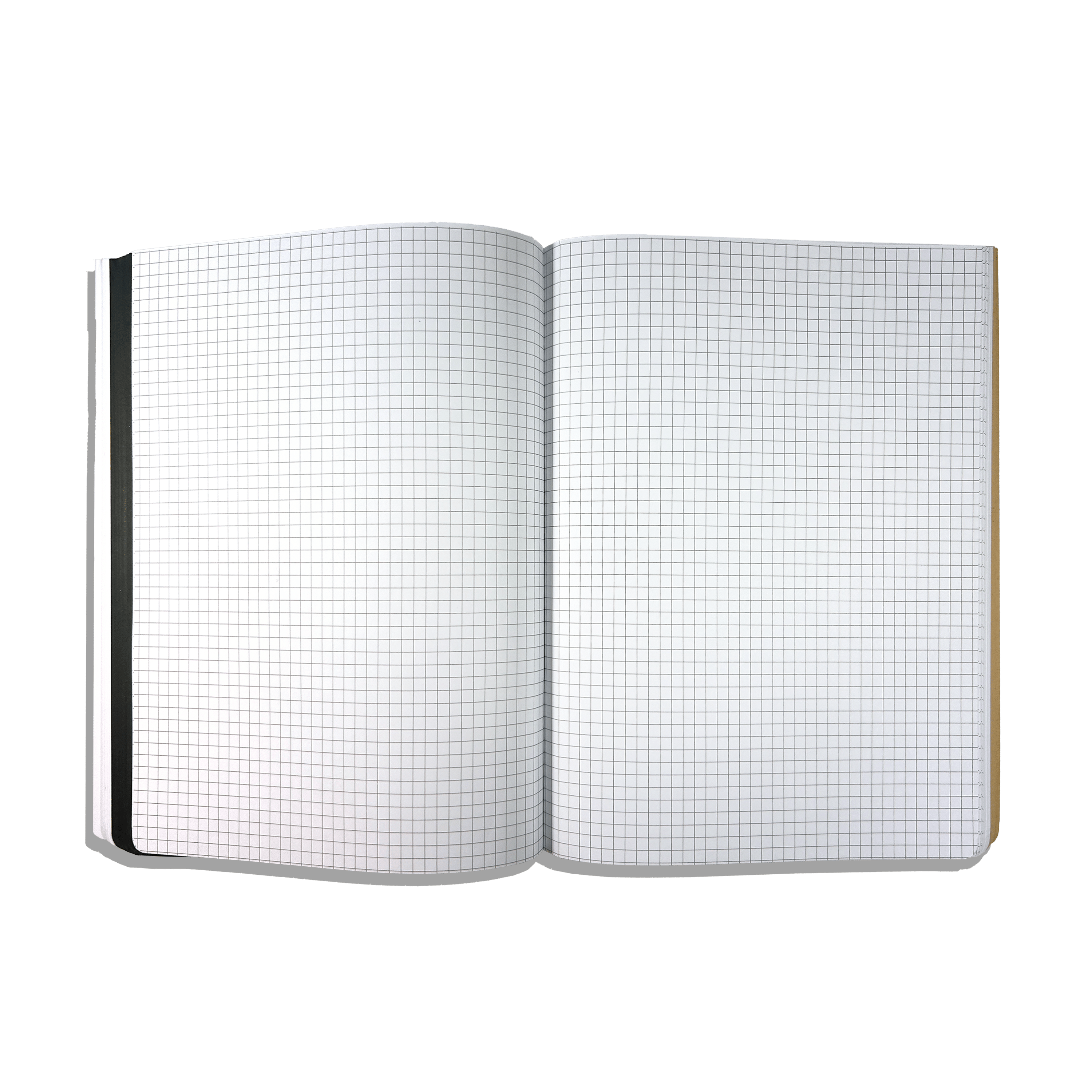 The Paper Works: Sketchbook - DIGS