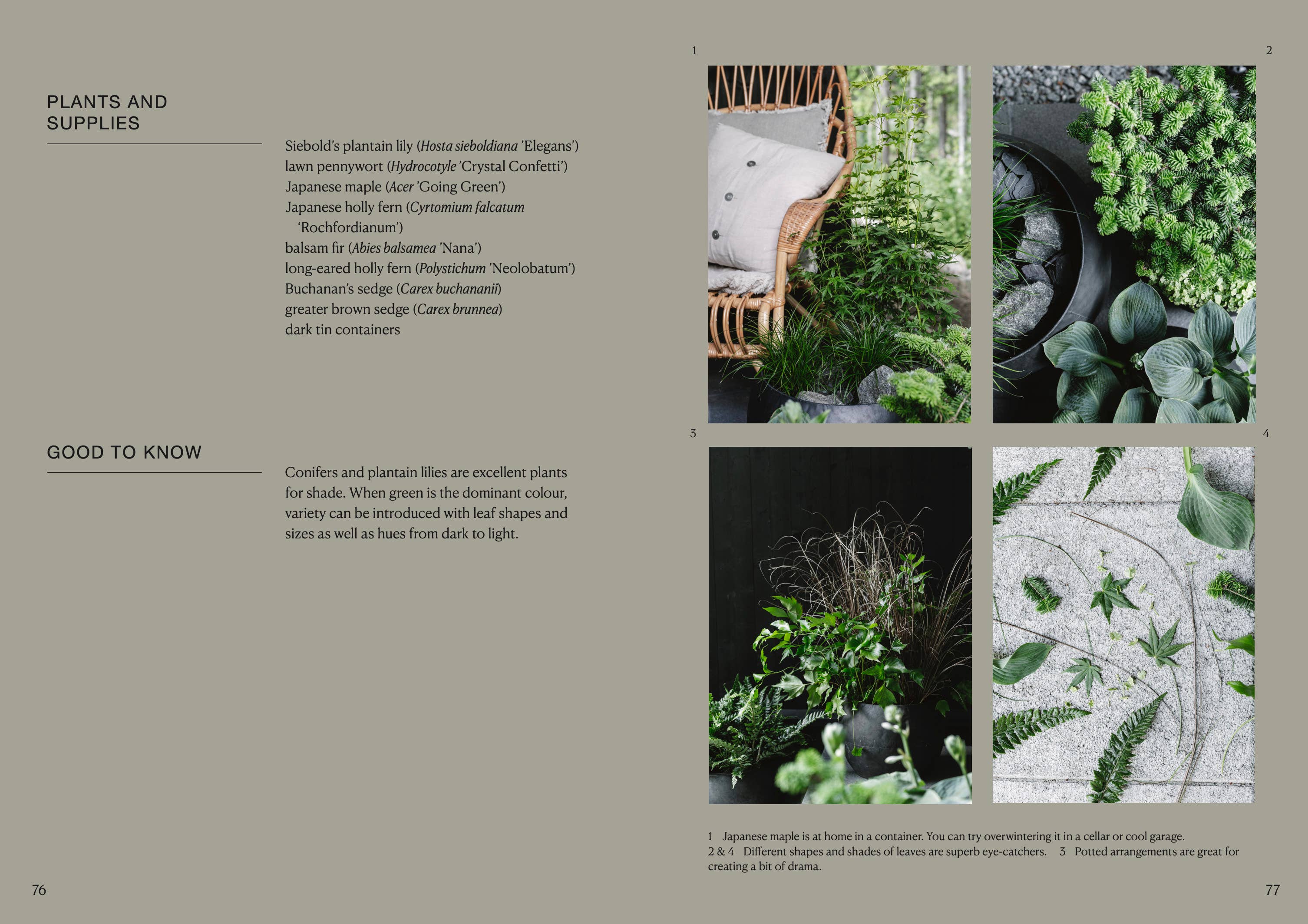 The Potted Garden - All Year Round - DIGS