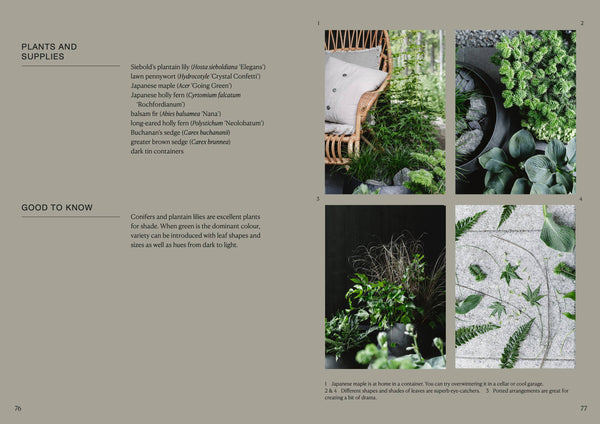 The Potted Garden - All Year Round - DIGS