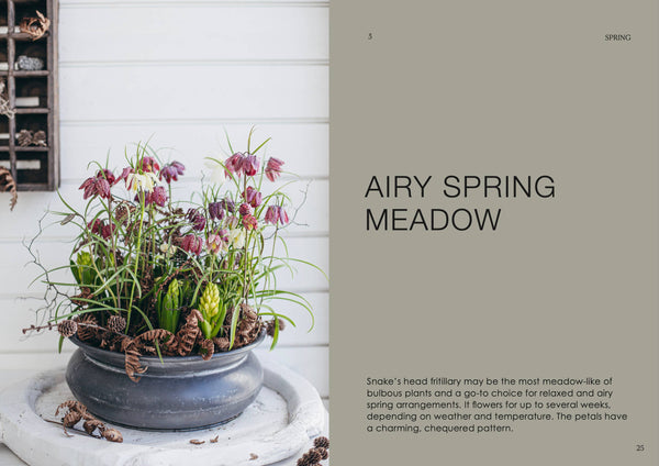 The Potted Garden - All Year Round - DIGS