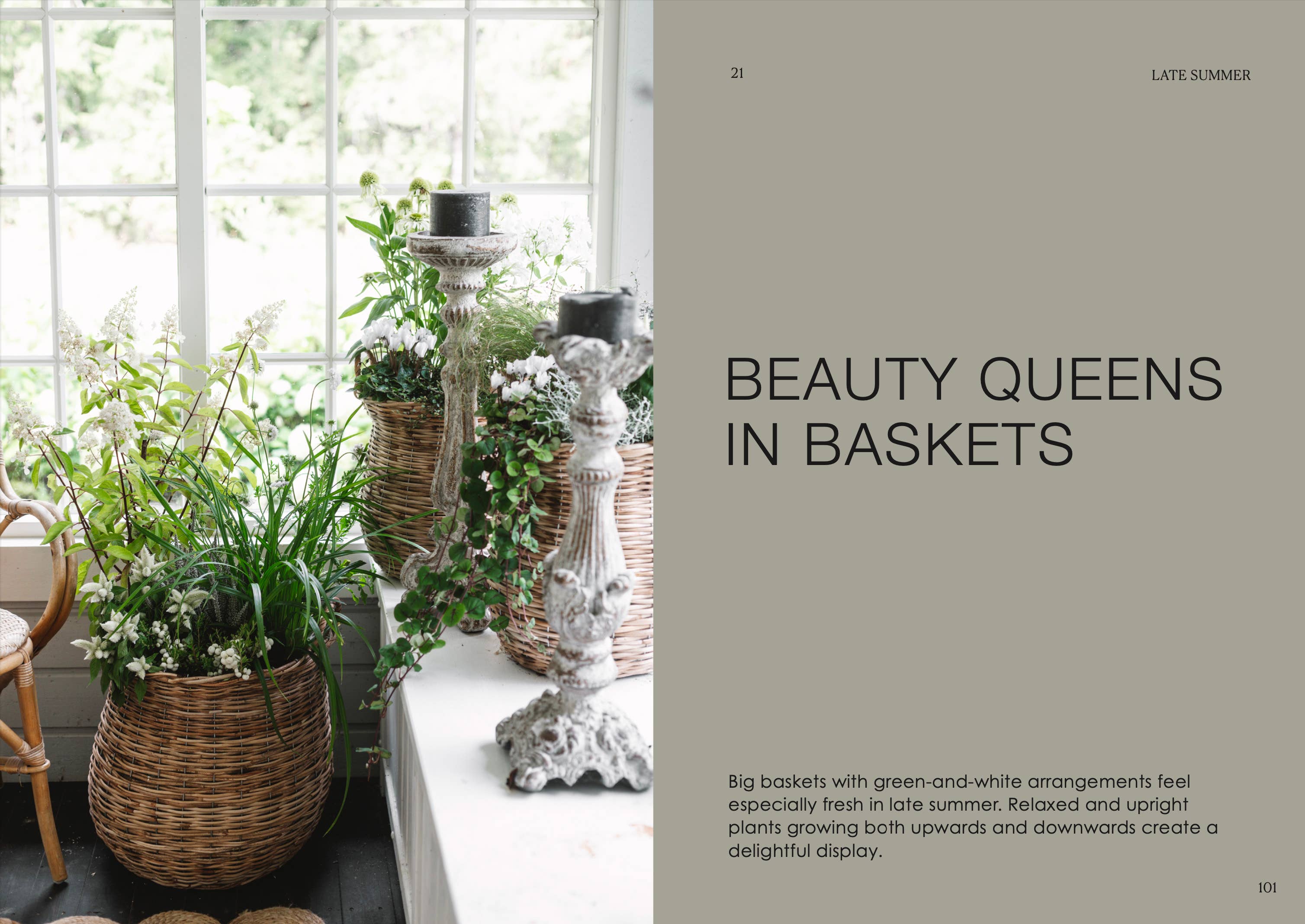 The Potted Garden - All Year Round - DIGS