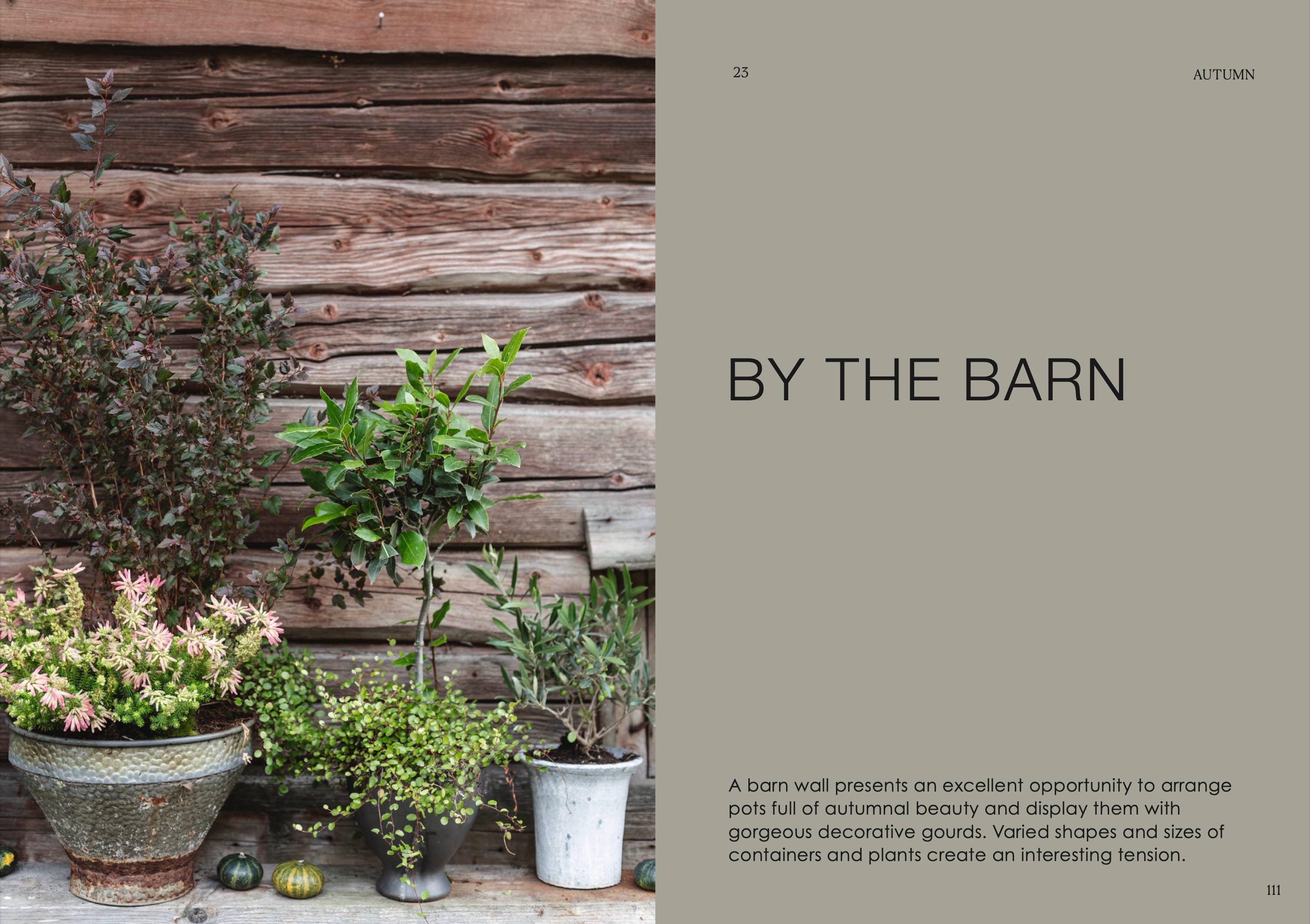 The Potted Garden - All Year Round - DIGS