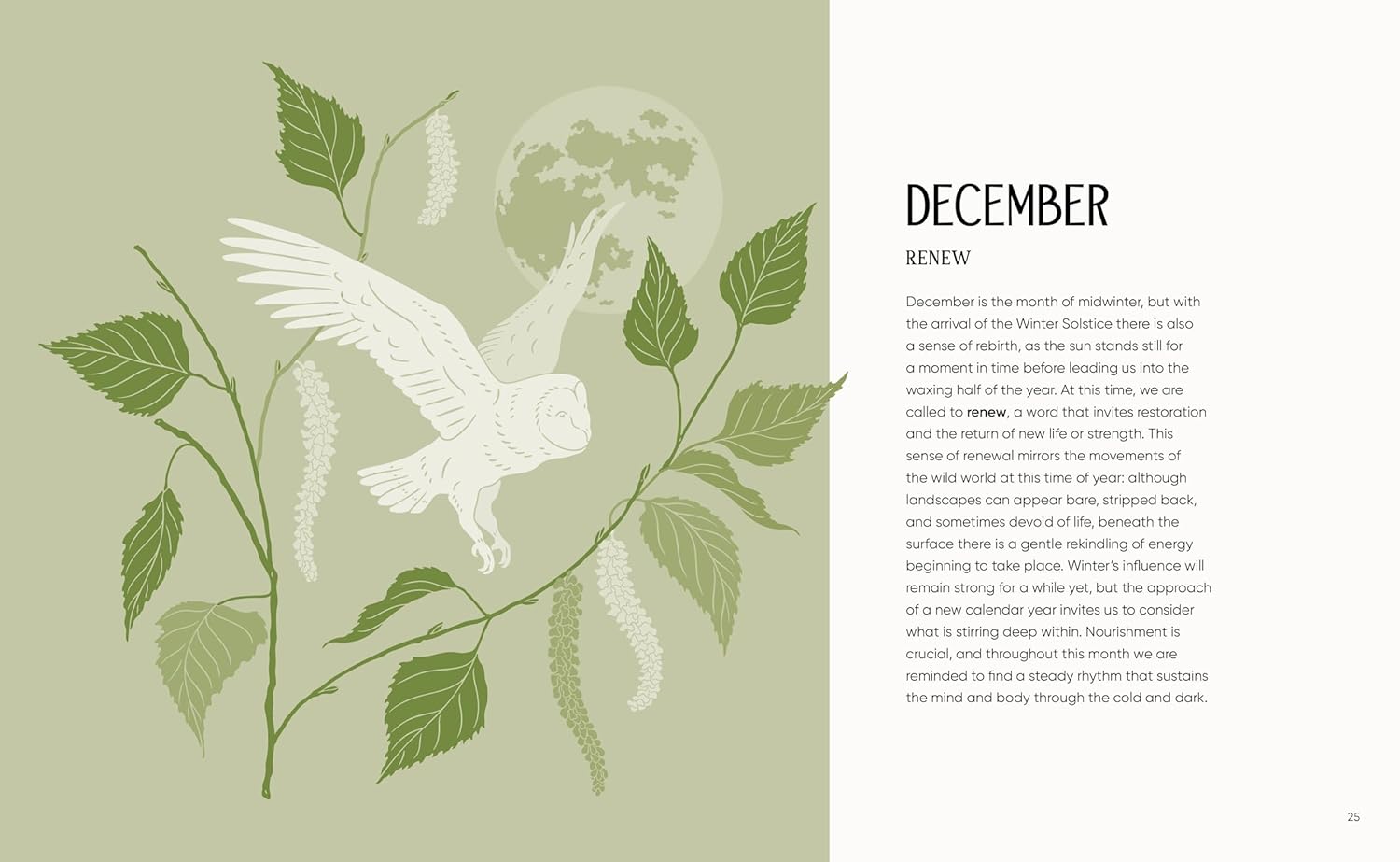 The Rewilding Yearbook - DIGS