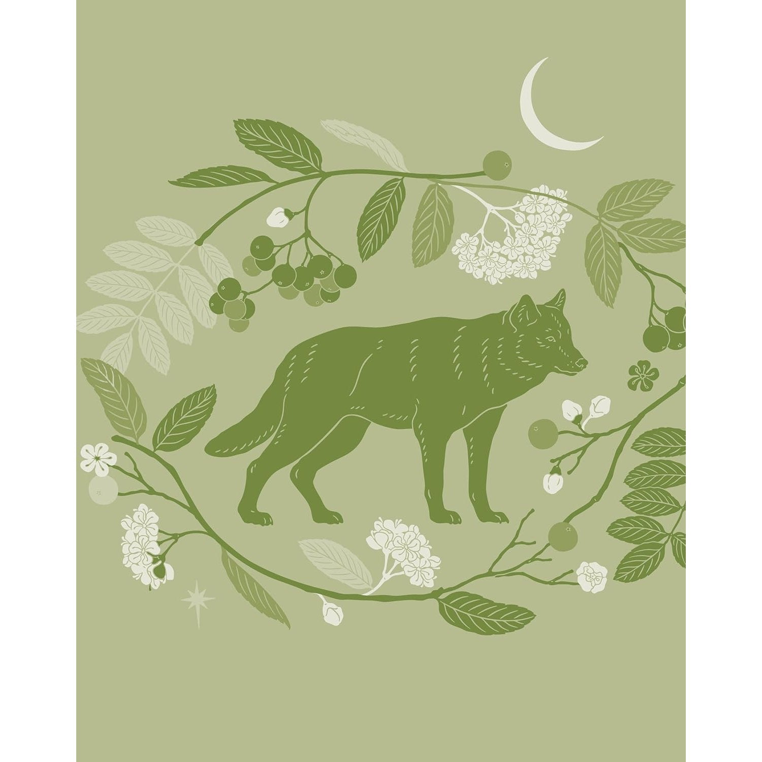 The Rewilding Yearbook - DIGS