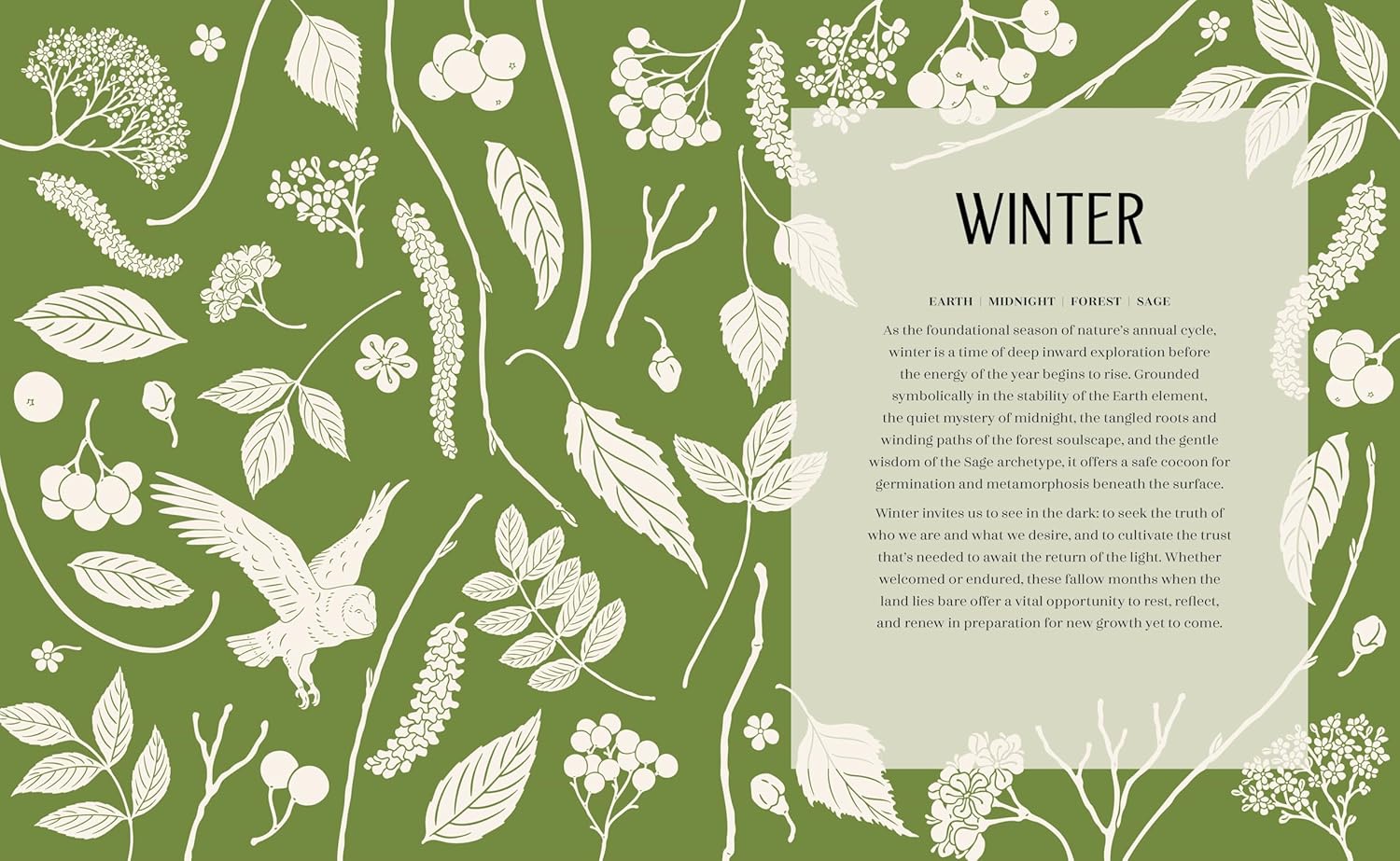 The Rewilding Yearbook - DIGS