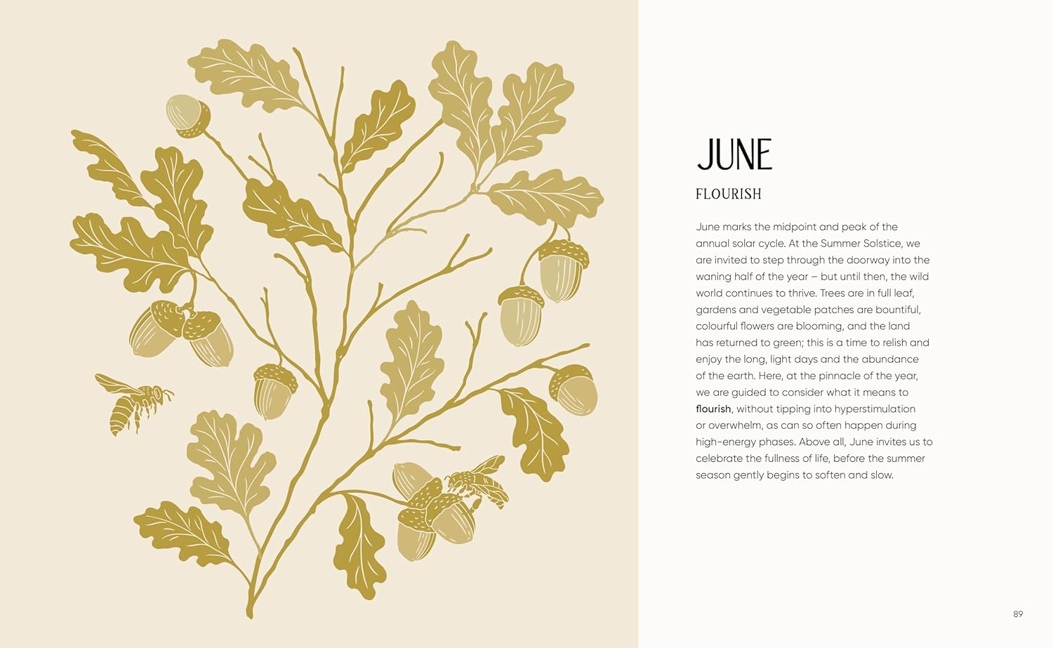 The Rewilding Yearbook - DIGS