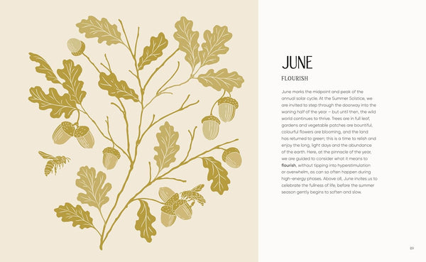 The Rewilding Yearbook - DIGS