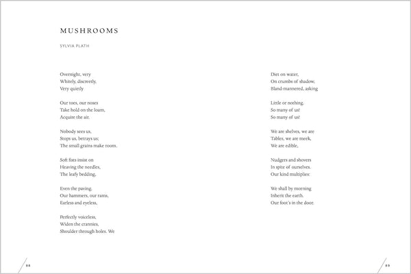 The Universe in Verse - DIGS