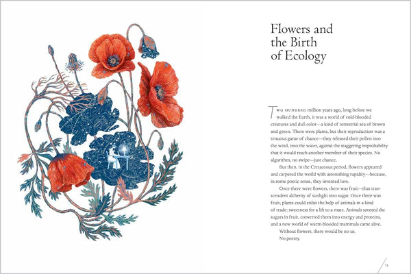 The Universe in Verse - DIGS