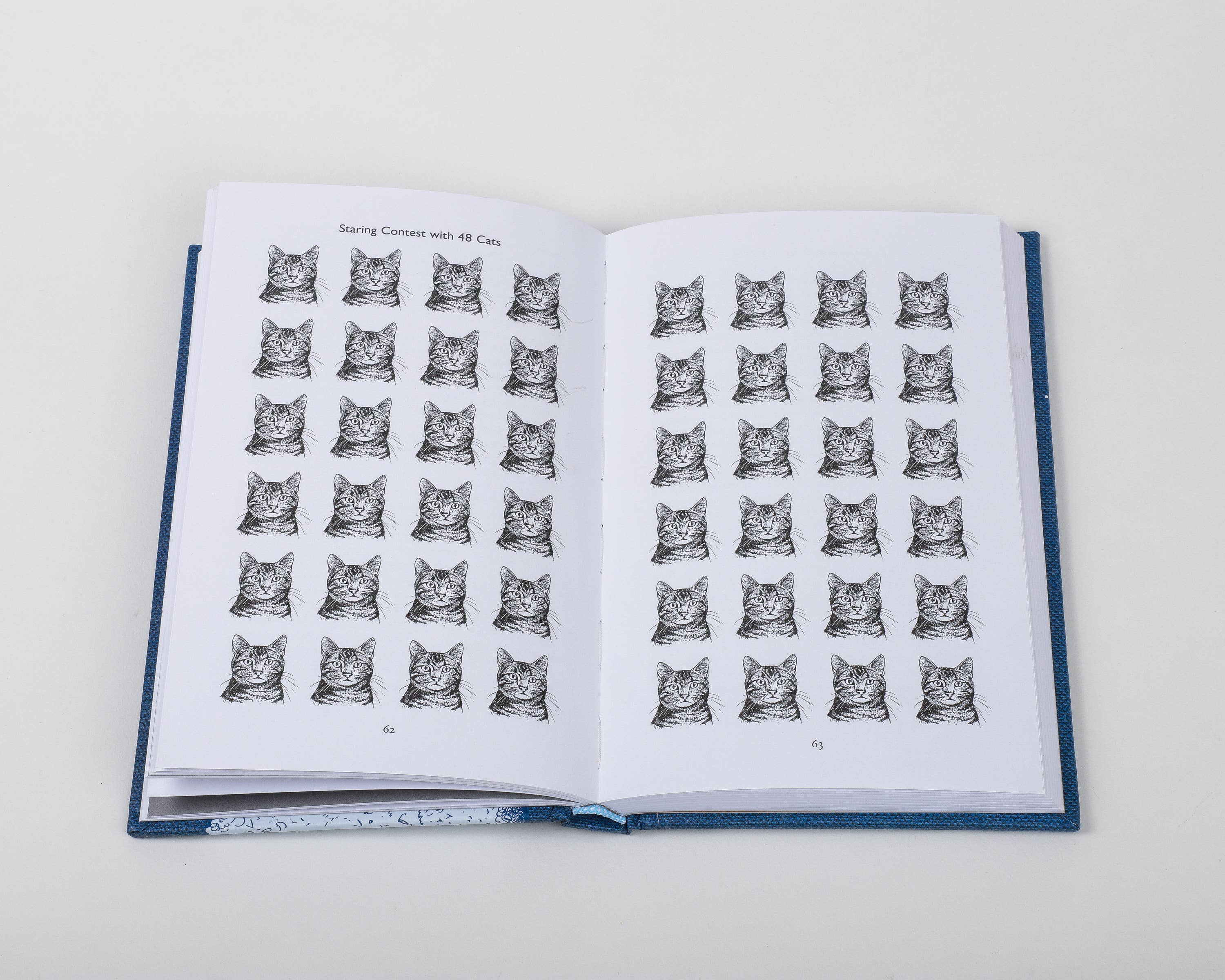 This Book Will Put You to Sleep - DIGS