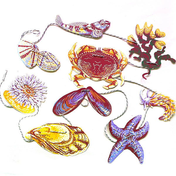 Tide Pool Garland - DIGS