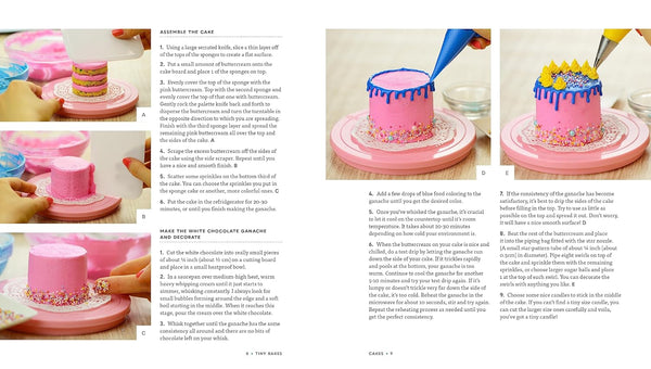 Tiny Bakes Cookbook - DIGS