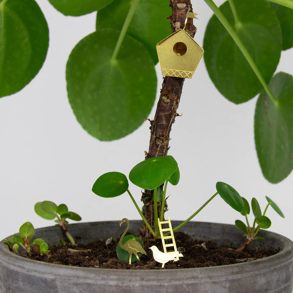 Tiny Birdhouse Houseplant Set - DIGS