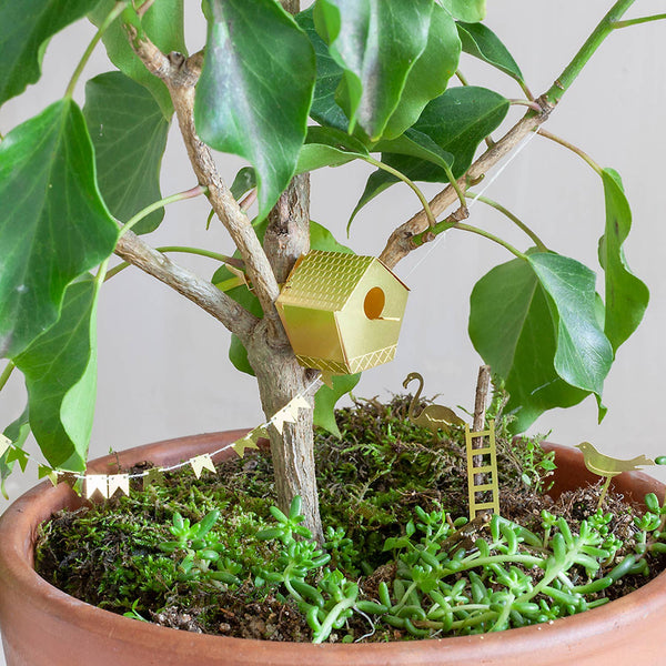Tiny Birdhouse Houseplant Set - DIGS