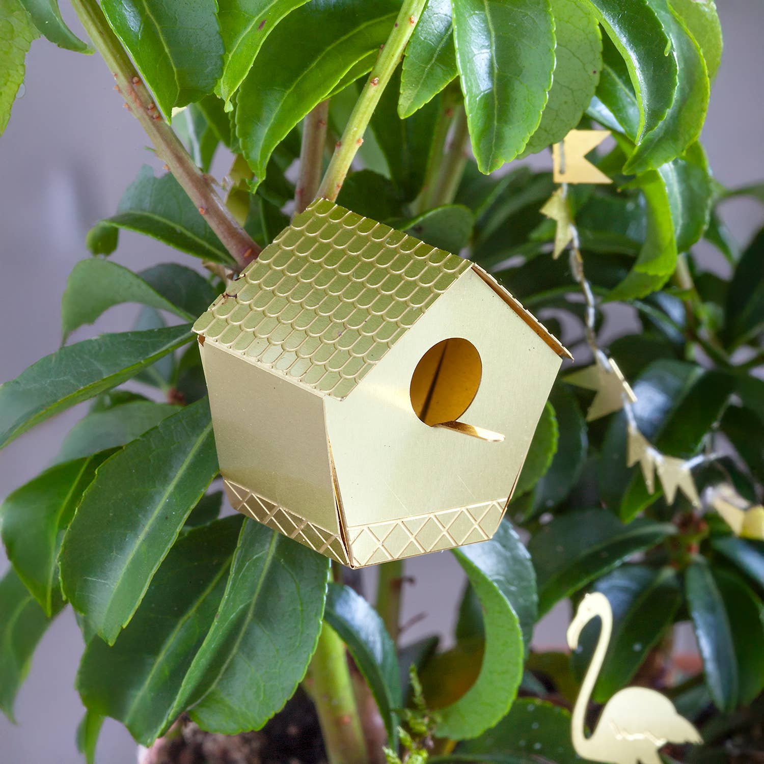 Tiny Birdhouse Houseplant Set - DIGS