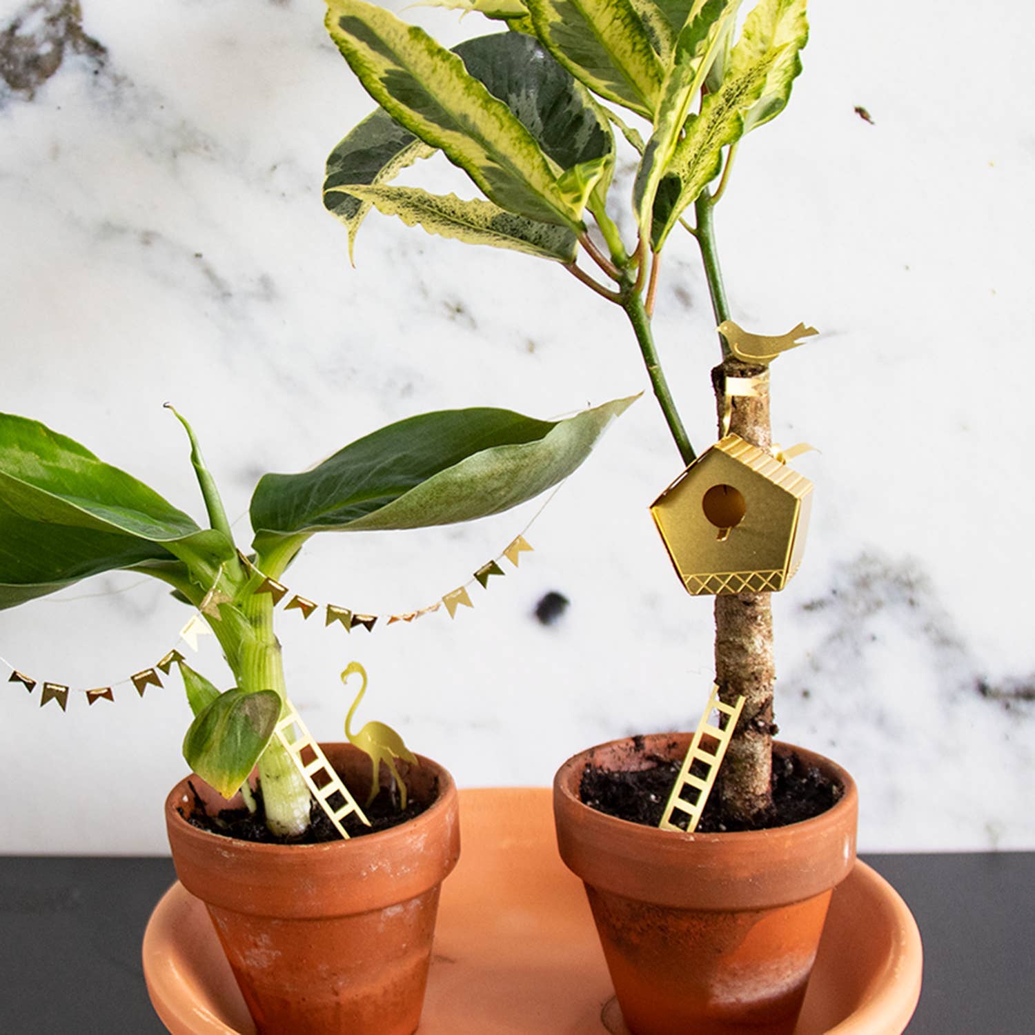Tiny Birdhouse Houseplant Set - DIGS