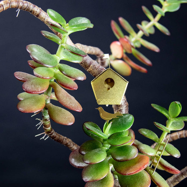 Tiny Birdhouse Houseplant Set - DIGS