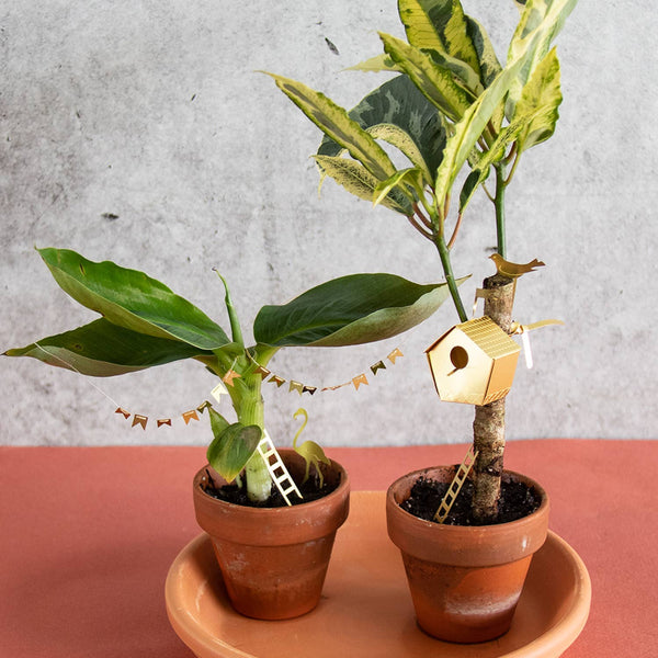 Tiny Birdhouse Houseplant Set - DIGS