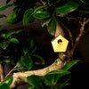 Tiny Birdhouse Houseplant Set - DIGS