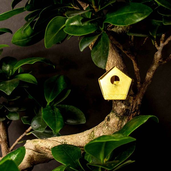 Tiny Birdhouse Houseplant Set - DIGS