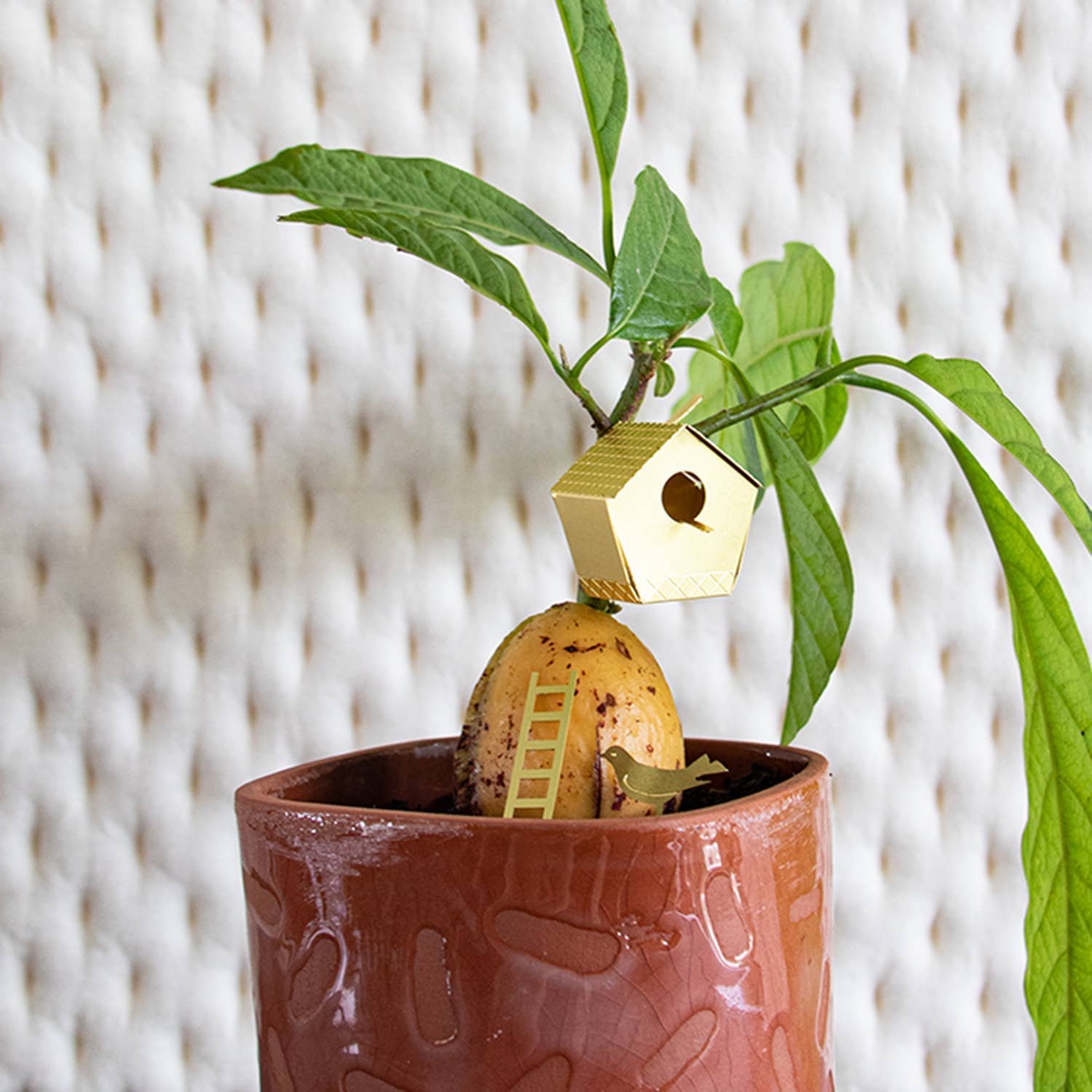 Tiny Birdhouse Houseplant Set - DIGS