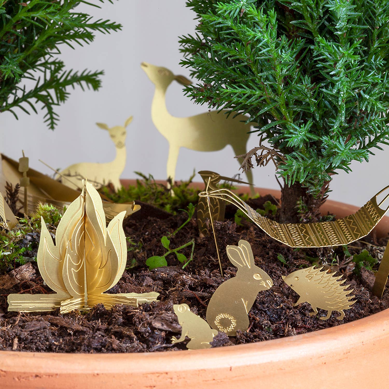 Tiny Camping Houseplant Set - DIGS