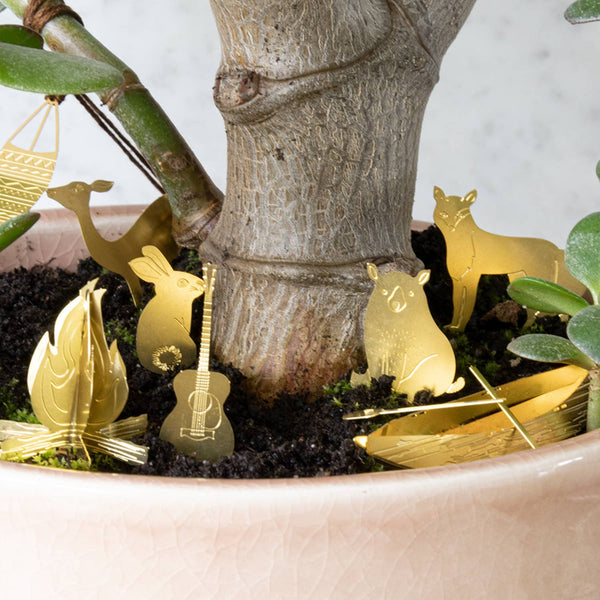 Tiny Camping Houseplant Set - DIGS