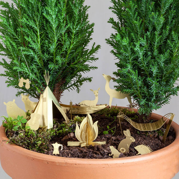 Tiny Camping Houseplant Set - DIGS